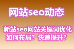 新站seo网站关键词优化如何布局？快速提升？
